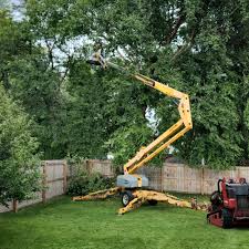 Best Tree Trimming and Pruning  in Wakefield, VA