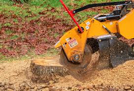 Best Stump Grinding and Removal  in Wakefield, VA