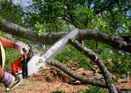 Best Weed Control  in Wakefield, VA