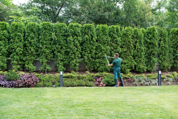 Best Hedge Trimming  in Wakefield, VA